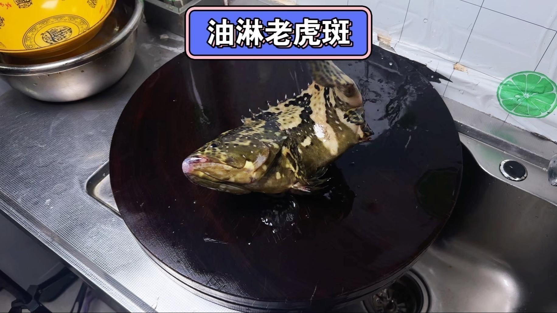 老虎石斑魚
