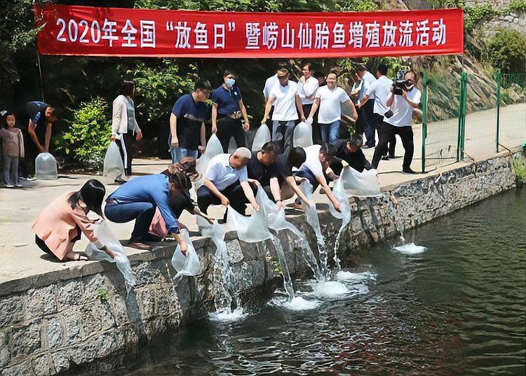 嶗山最出名的三個(gè)魚