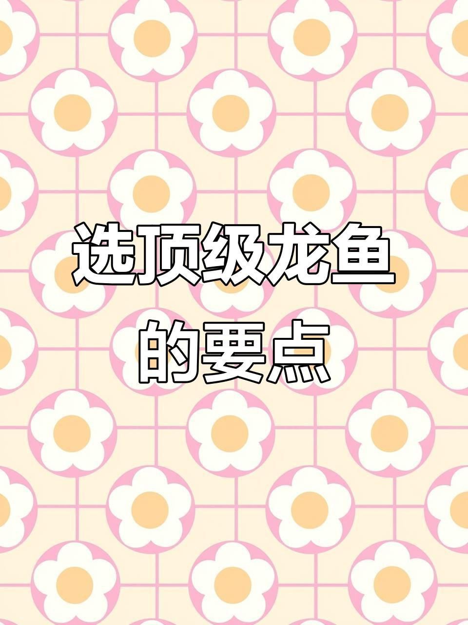 如何判斷龍魚品相的優(yōu)劣？