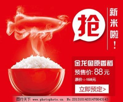金龍魚廣告語有哪些：金龍魚廣告語有哪些金龍魚廣告語有哪些