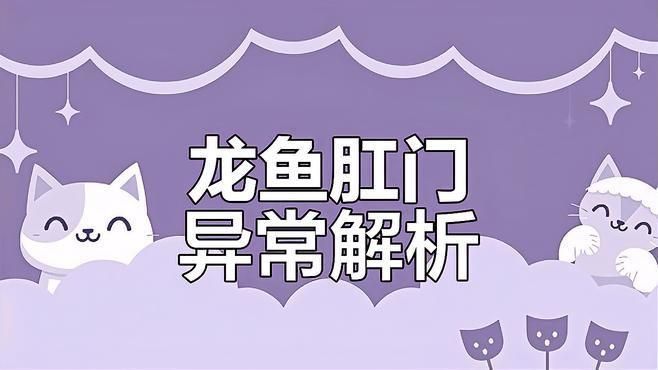 龍魚肛門鼓起如何預防？