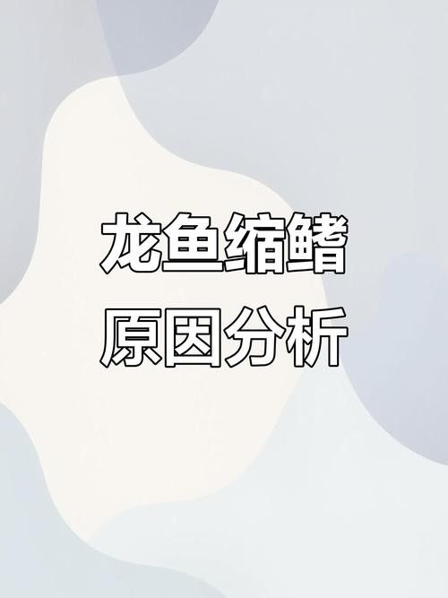 龍魚為什么會蒙眼呢圖片
