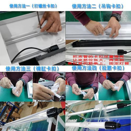 金龍魚用什么燈管好一點