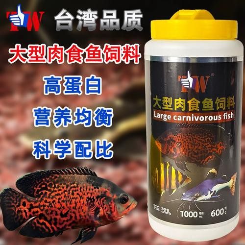 招財貓和雷龍魚哪個好養一點 龍魚百科 第12張 招財貓和雷龍魚哪個好養一點 招財貓和雷龍魚哪個好養一點 龍魚百科 第12張