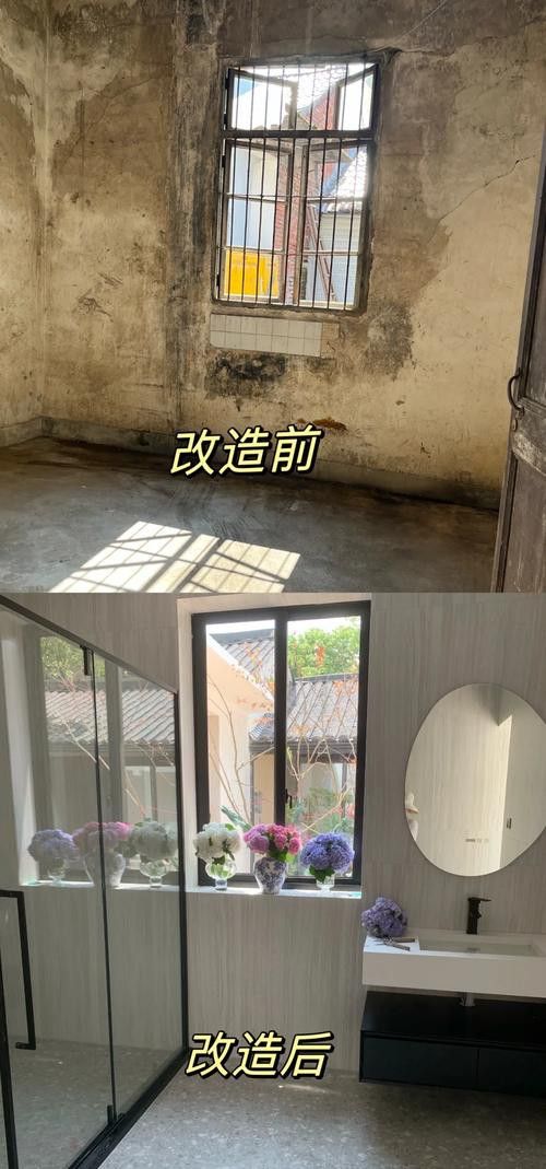 如何選擇適合龍貓的廁所