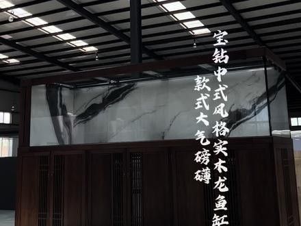 寶鉆龍魚(yú)缸怎么樣