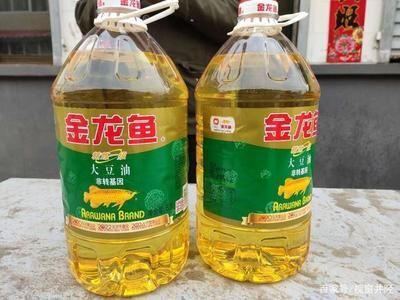 <strong><mark>北京</mark></strong>買金龍魚去哪里買：<strong><mark>北京</mark></strong>金龍魚市場價格對比金龍魚健康選購指南