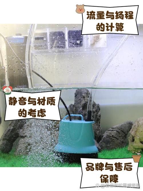 有哪些品牌的水泵適合紅龍魚發(fā)色? 龍魚百科 第4張 有哪些品牌的水泵適合紅龍魚發(fā)色? 有哪些品牌的水泵適合紅龍魚發(fā)色? 龍魚百科 第4張