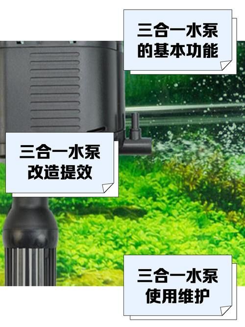 有哪些品牌的水泵適合紅龍魚發(fā)色? 龍魚百科 第3張 有哪些品牌的水泵適合紅龍魚發(fā)色? 有哪些品牌的水泵適合紅龍魚發(fā)色? 龍魚百科 第3張