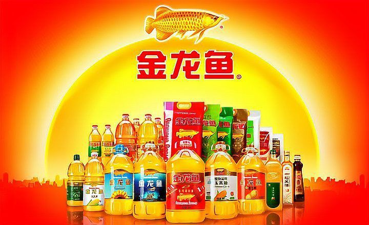 金龍魚市場調研報告范文 金龍魚市場調研報告范文 龍魚百科 第3張
