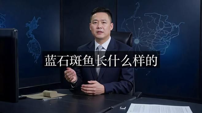 藍(lán)瓜子石斑魚