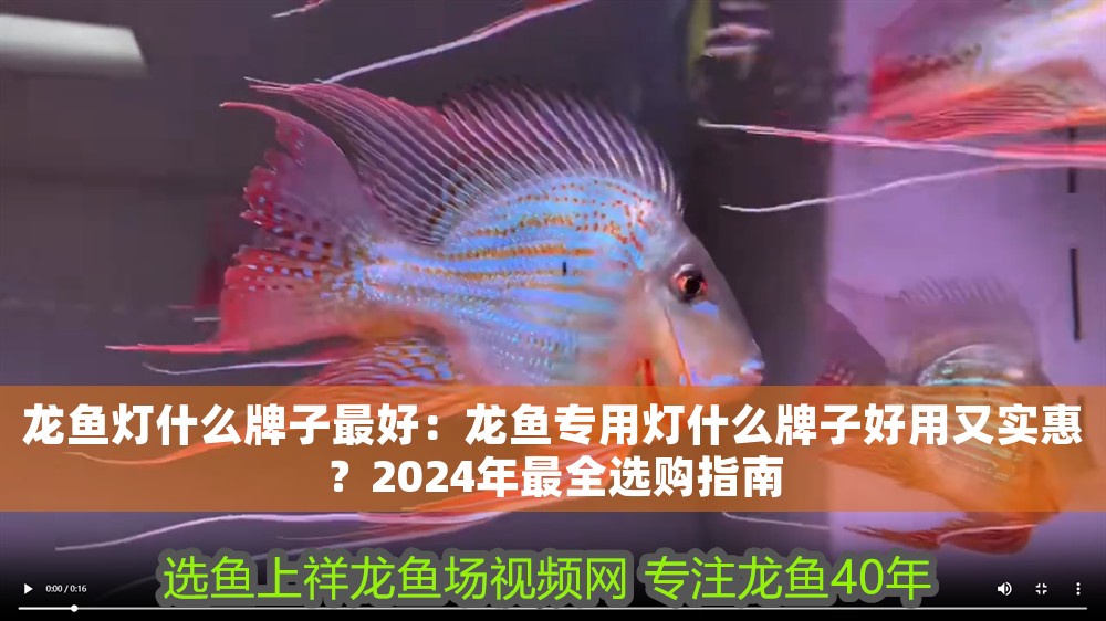 龍魚燈什么牌子最好：龍魚專用燈什么牌子好用又實惠？2024年最全選購指南 龍魚燈什么牌子最好：龍魚專用燈什么牌子好用又實惠？2024年最全選購指南 龍魚百科 第1張