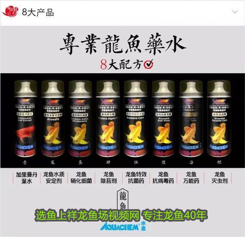 龍魚燈什么牌子最好：龍魚專用燈什么牌子好用又實惠？2024年最全選購指南 龍魚燈什么牌子最好：龍魚專用燈什么牌子好用又實惠？2024年最全選購指南 龍魚百科 第2張