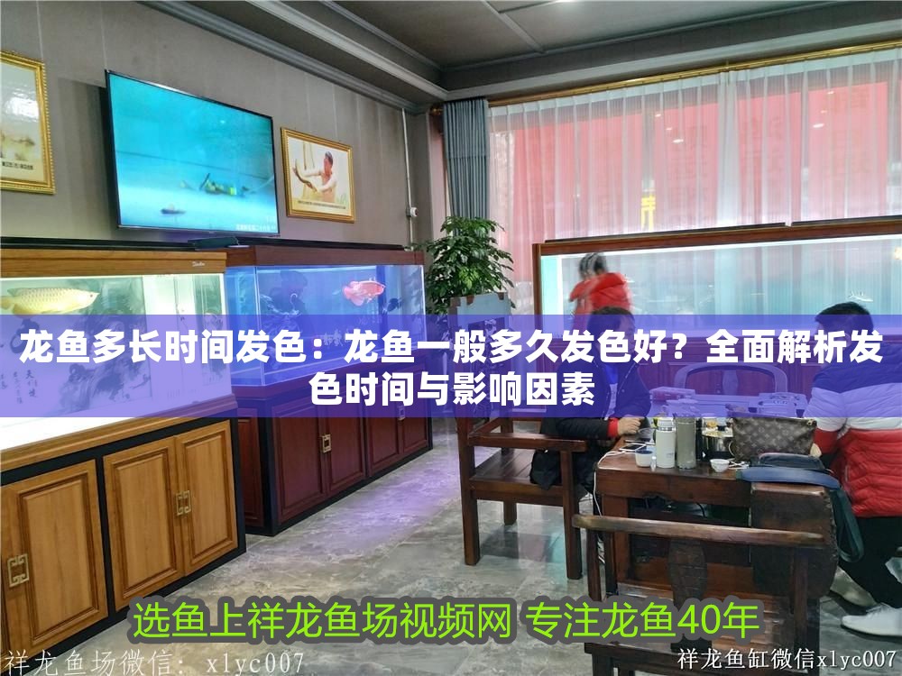龍魚多長時間發色：龍魚一般多久發色好？全面解析發色時間與影響因素