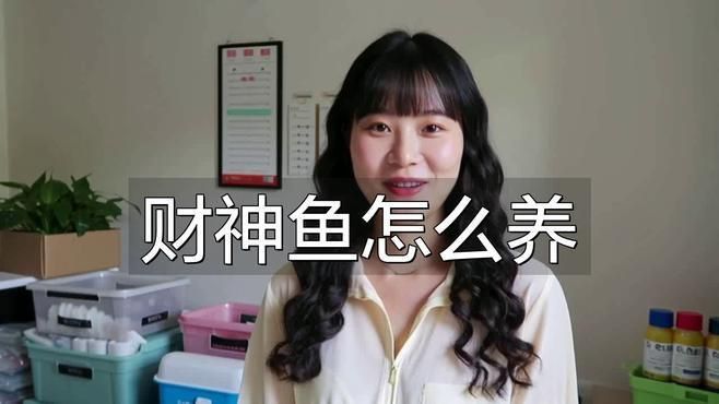 藍面財神魚適合放哪里養