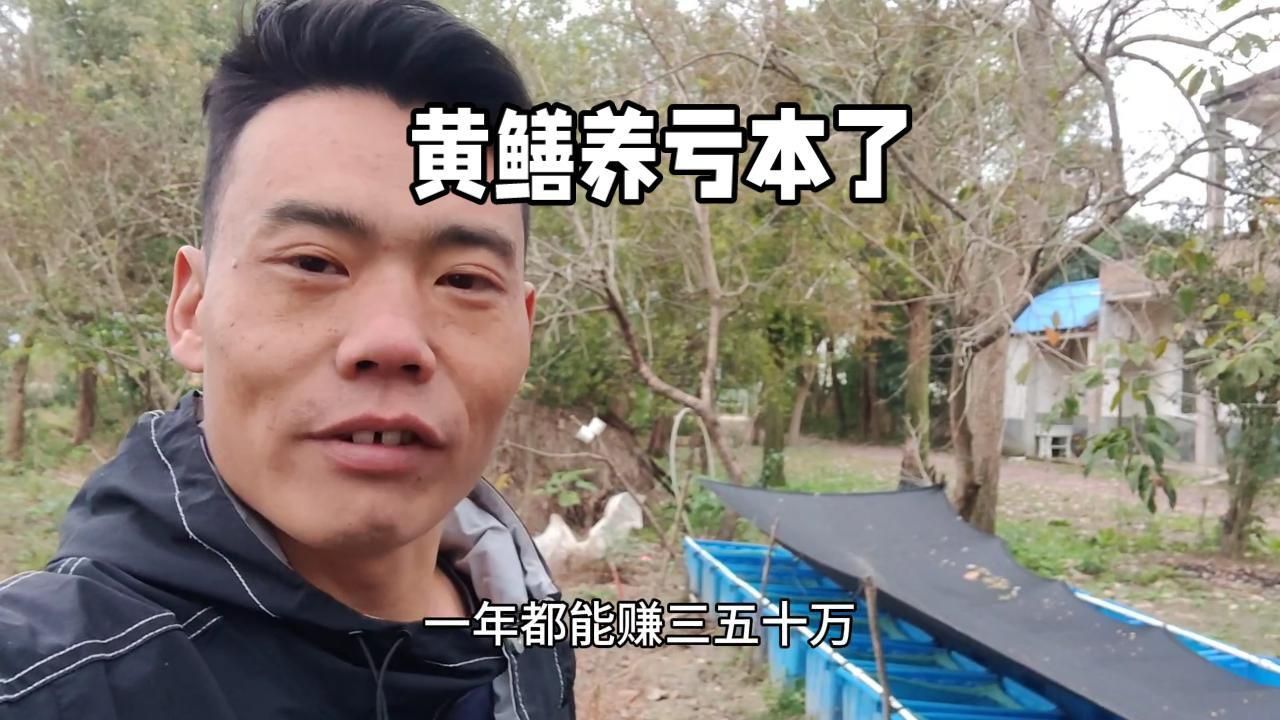 黃鱔養(yǎng)殖市場(chǎng)前景 黃鱔養(yǎng)殖市場(chǎng)前景 龍魚(yú)百科 第6張