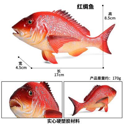 一米長的金龍魚有多重：一米長的金龍魚有多重，一米長的金龍魚的重量可能會比較重 一米長的金龍魚有多重：一米長的金龍魚有多重，一米長的金龍魚的重量可能會比較重 龍魚百科 第3張