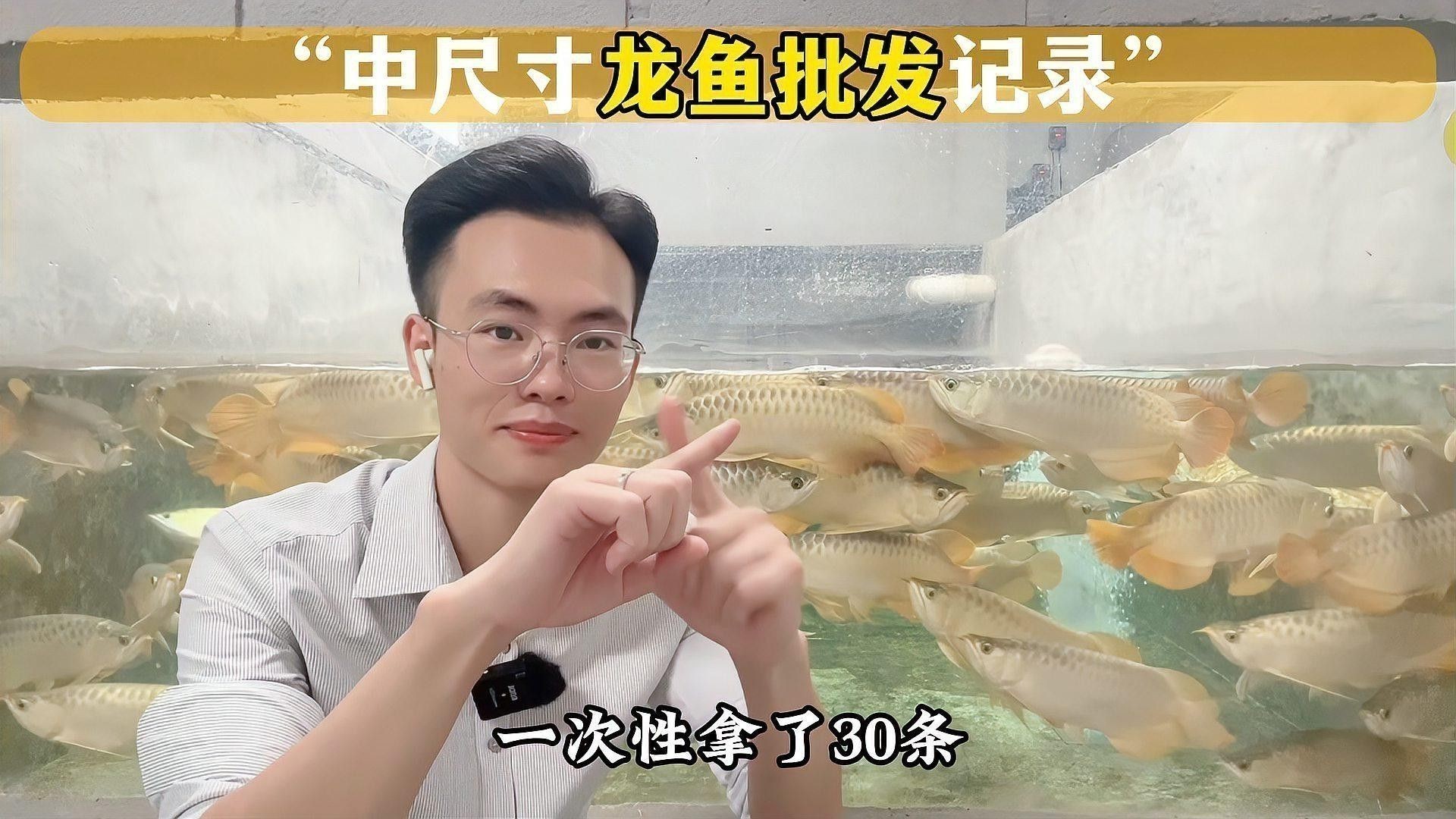 紅龍魚哪里買便宜 紅龍魚哪里買便宜 龍魚百科 第4張