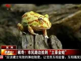 龍魚喂金蛙幾天喂一次：龍魚喂金蛙幾天喂一次，根據搜索結果