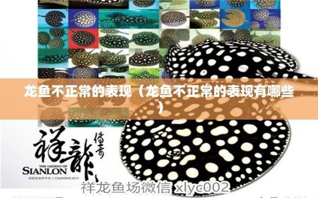 龍魚不正常的幾個狀態(tài)是什么:如何判斷龍魚的健康狀態(tài) 龍魚百科 第4張 龍魚不正常的幾個狀態(tài)是什么:如何判斷龍魚的健康狀態(tài) 龍魚不正常的幾個狀態(tài)是什么:如何判斷龍魚的健康狀態(tài) 龍魚百科 第4張