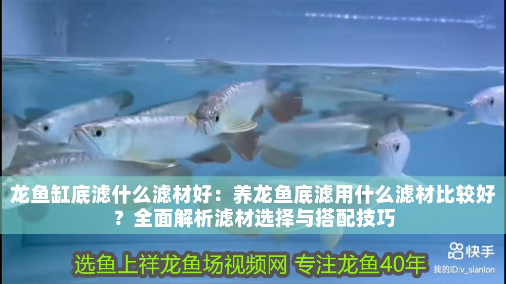 龍魚缸底濾什么濾材好：養龍魚底濾用什么濾材比較好？全面解析濾材選擇與搭配技巧