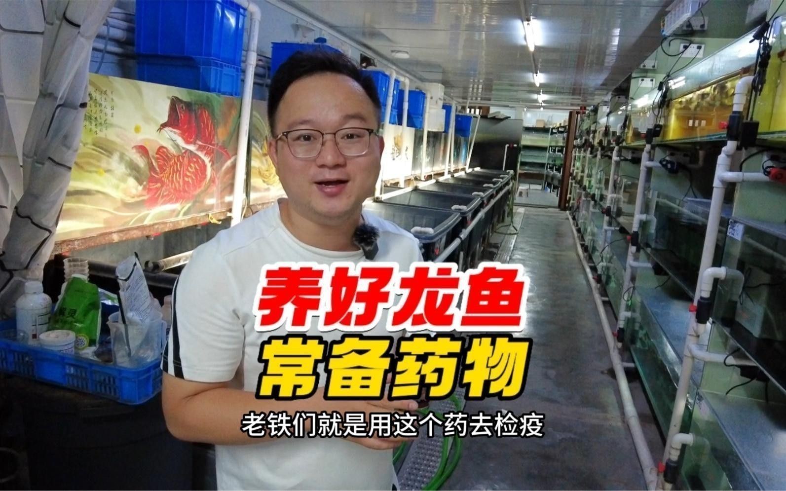 有哪些品牌龍魚預防藥推薦？
