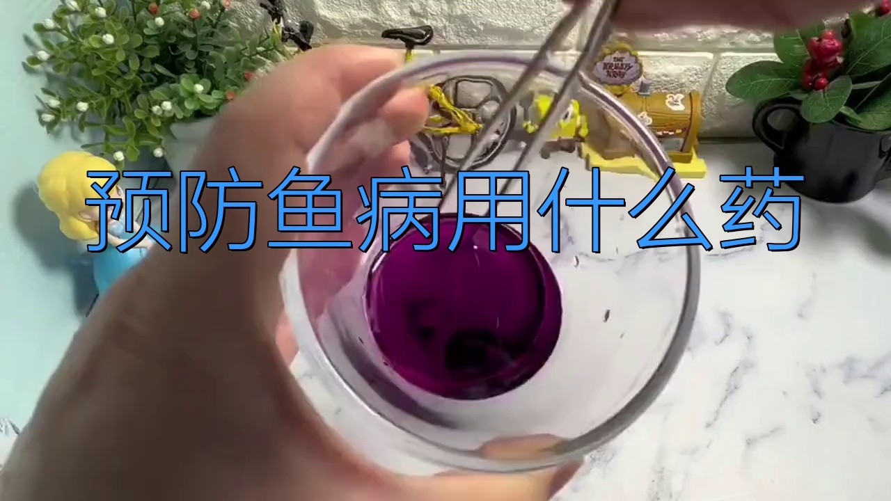 有哪些品牌龍魚預防藥推薦？