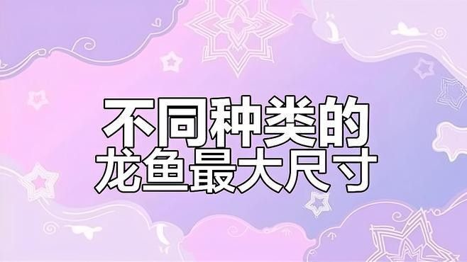 銀龍魚長大的樣子視頻