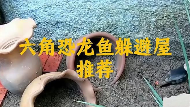 如何設置六角龍的躲避屋？