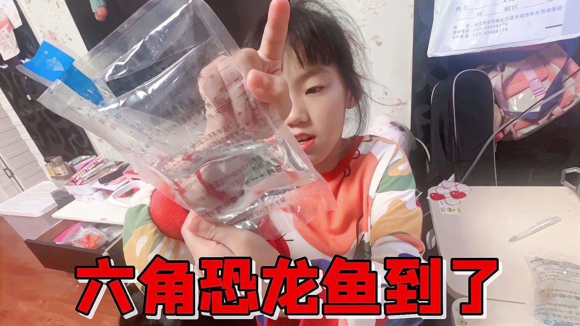 如何設置六角龍的躲避屋？