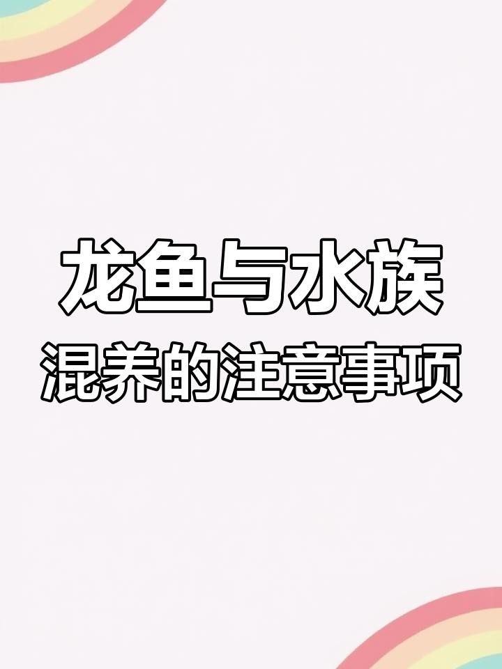 高清全龍魚圖片有哪些常見尺寸？