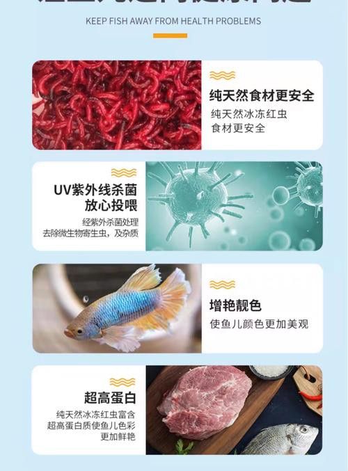 恐龍魚能吃多大的魚飼料啊圖片 恐龍魚能吃多大的魚飼料啊圖片 龍魚百科 第3張