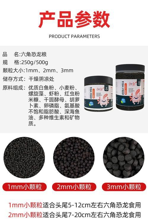 恐龍魚能吃多大的魚飼料啊圖片 恐龍魚能吃多大的魚飼料啊圖片 龍魚百科 第2張