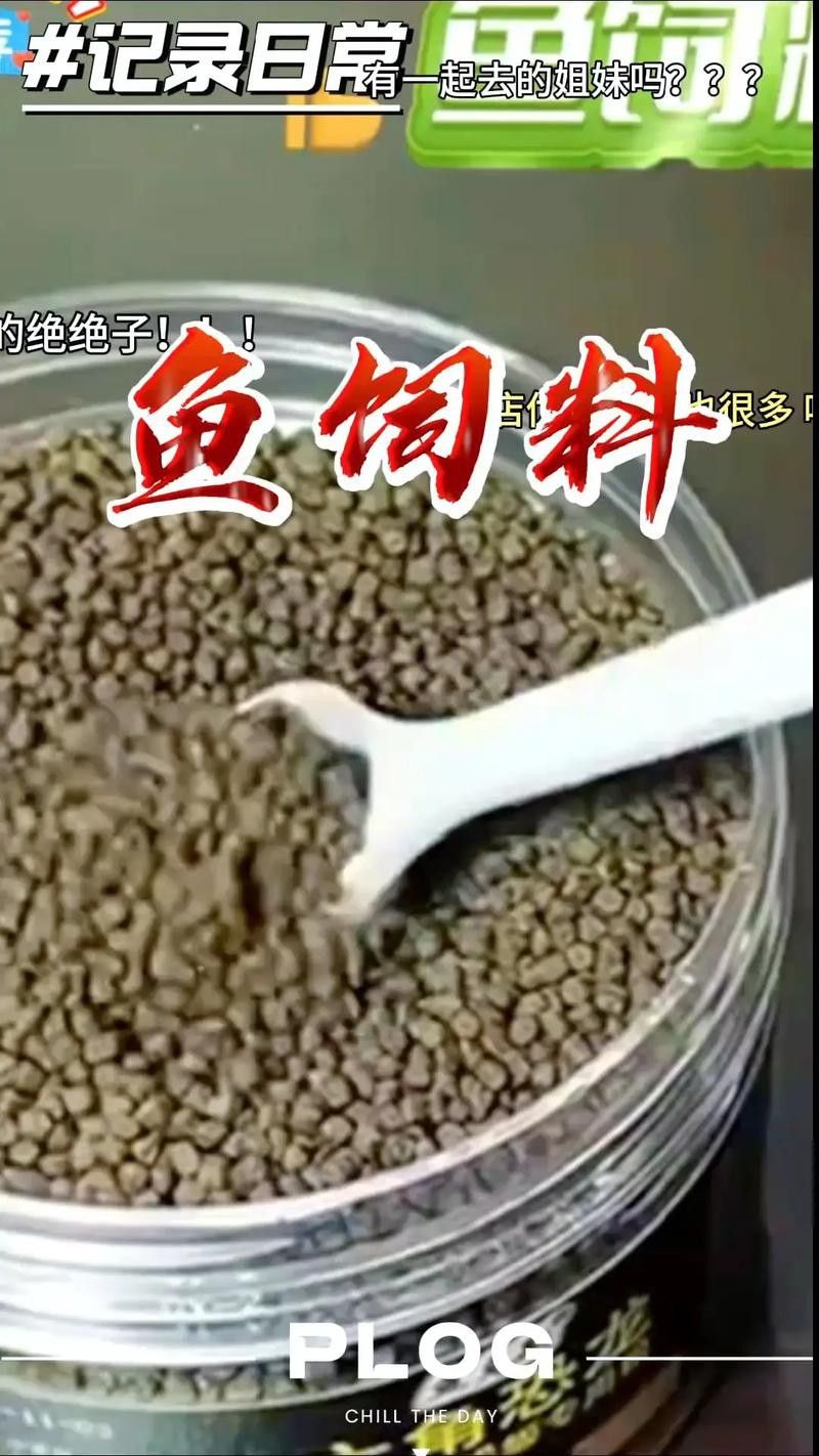 恐龍魚能吃多大的魚飼料啊圖片 恐龍魚能吃多大的魚飼料啊圖片 龍魚百科 第11張