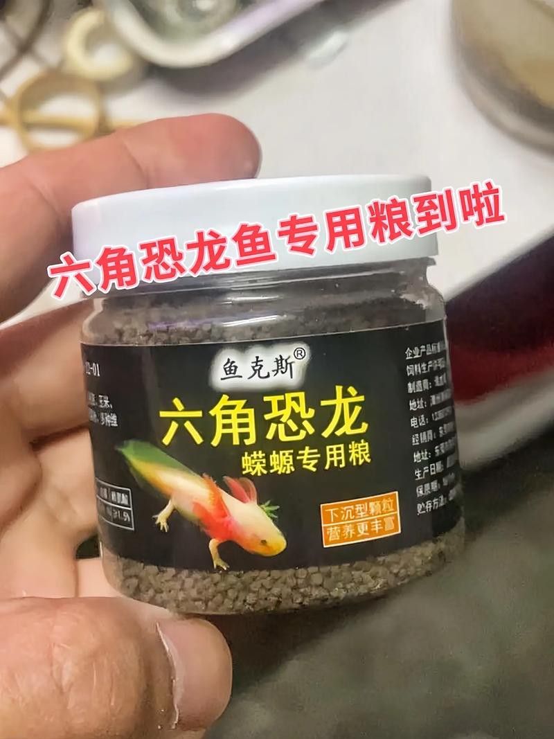 恐龍魚能吃多大的魚飼料啊圖片 恐龍魚能吃多大的魚飼料啊圖片 龍魚百科 第13張