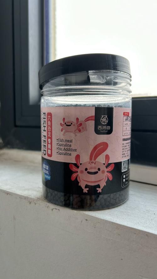 恐龍魚能吃多大的魚飼料啊圖片 恐龍魚能吃多大的魚飼料啊圖片 龍魚百科 第17張