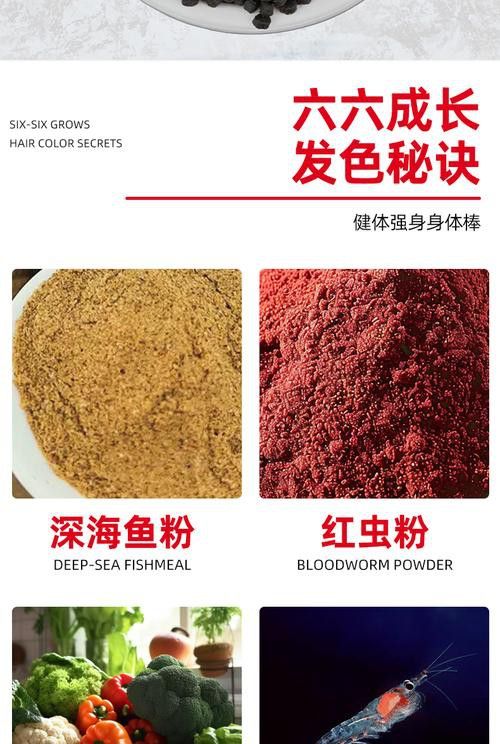 恐龍魚能吃多大的魚飼料啊圖片 恐龍魚能吃多大的魚飼料啊圖片 龍魚百科 第15張