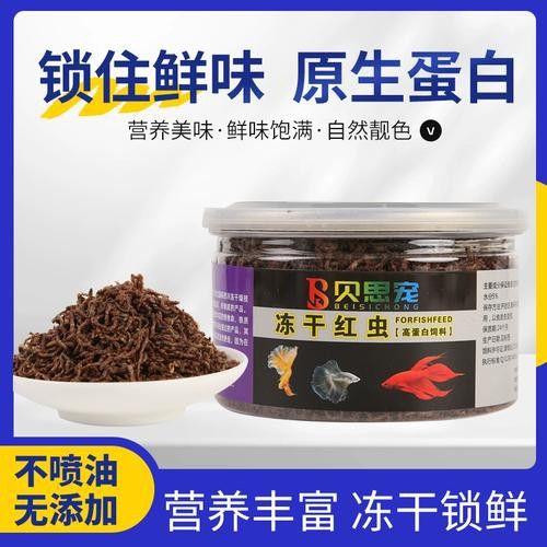 恐龍魚能吃多大的魚飼料啊圖片 恐龍魚能吃多大的魚飼料啊圖片 龍魚百科 第21張