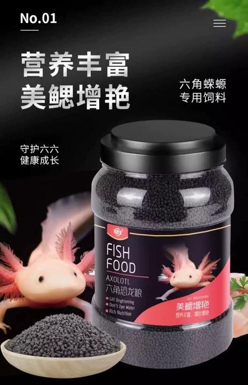 恐龍魚能吃多大的魚飼料啊圖片 恐龍魚能吃多大的魚飼料啊圖片 龍魚百科 第27張