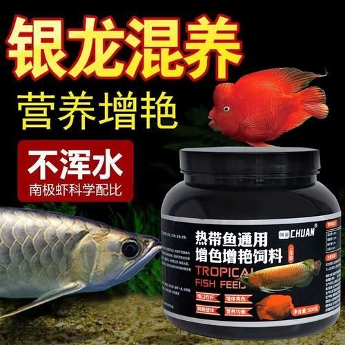 銀龍魚配什么魚好看 銀龍魚配什么魚好看 龍魚百科 第4張