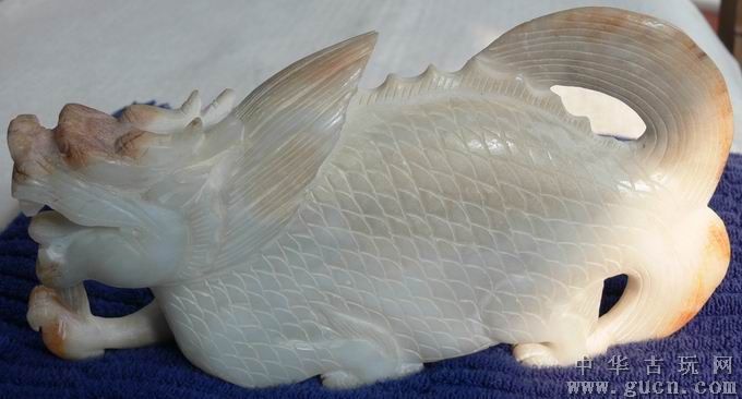 白玉龍魚(yú)特點(diǎn)介紹：2019-10-08白玉龍魚(yú)