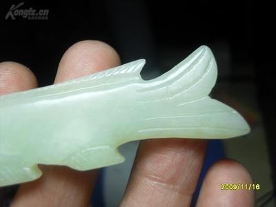 白玉龍魚(yú)特點(diǎn)介紹：2019-10-08白玉龍魚(yú)