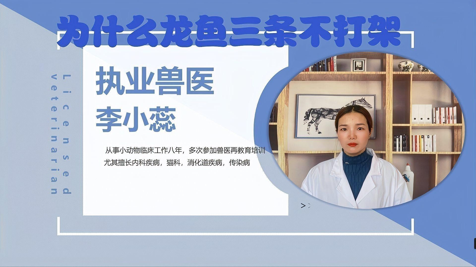 龍魚如何混養(yǎng)不打架的 龍魚如何混養(yǎng)不打架的 龍魚百科 第3張