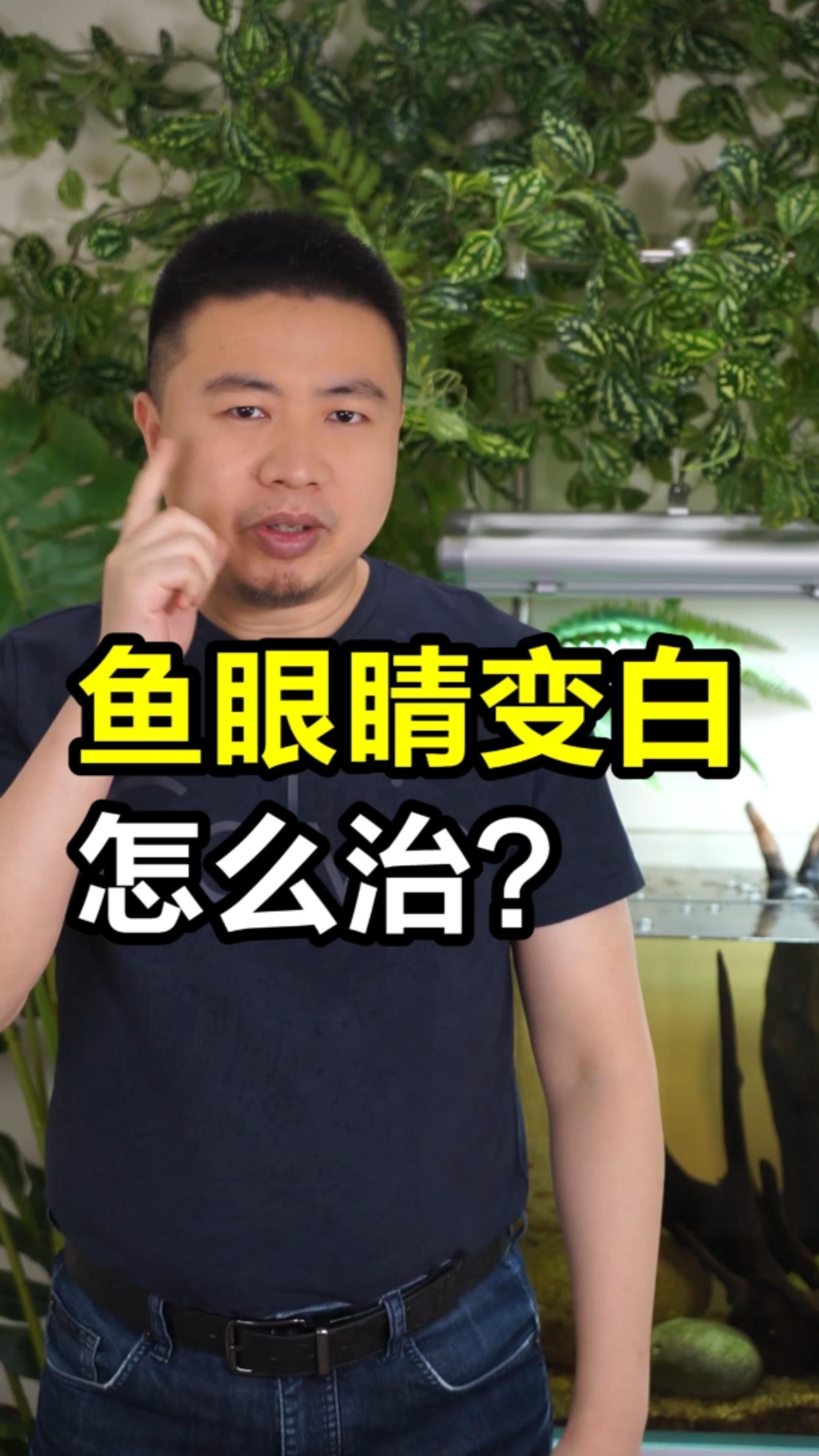 魚眼睛上有一層白膜怎么辦