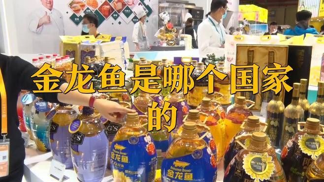 金龍魚在哪些國家可以合法貿易？ 金龍魚在哪些國家可以合法貿易？ 龍魚百科 第2張