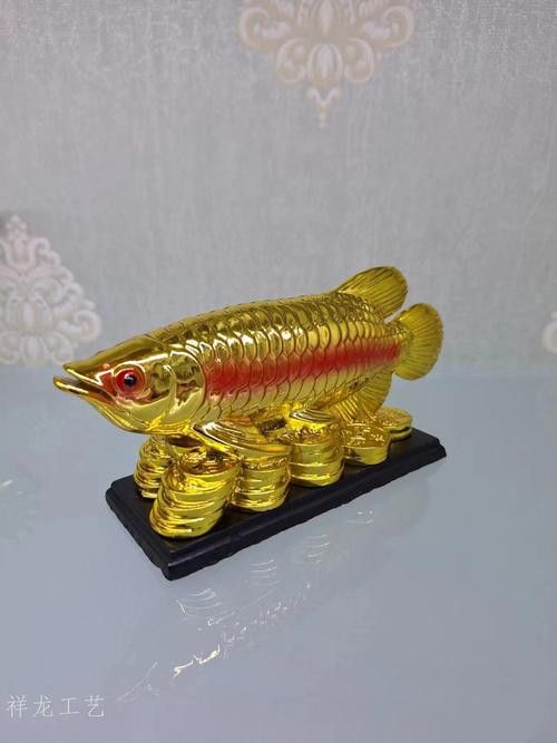 祥龍金龍魚怎么樣好養嗎圖片大全 祥龍金龍魚怎么樣好養嗎圖片大全 龍魚百科 第11張