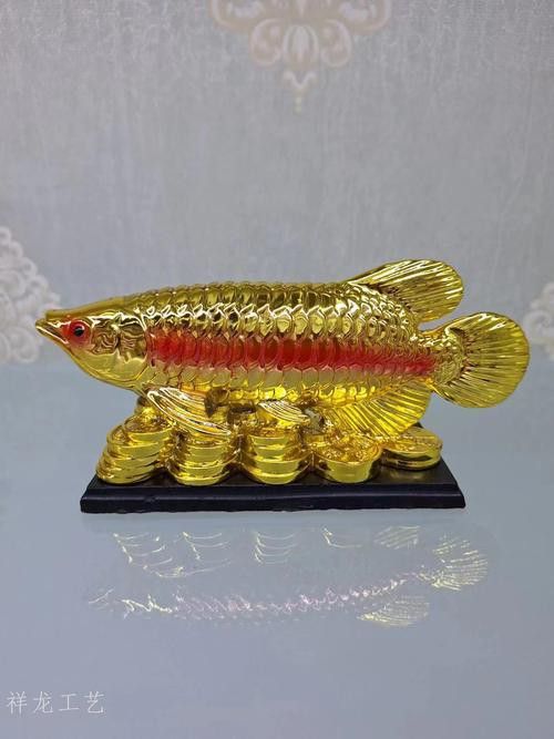 祥龍金龍魚怎么樣好養嗎圖片大全 祥龍金龍魚怎么樣好養嗎圖片大全 龍魚百科 第16張