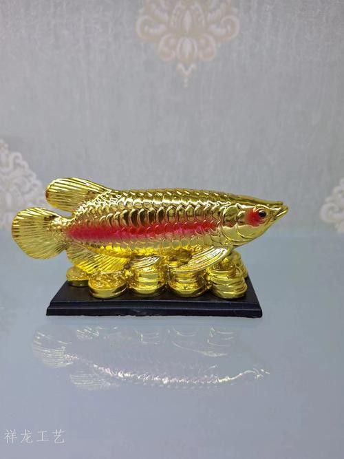 祥龍金龍魚怎么樣好養嗎圖片大全 祥龍金龍魚怎么樣好養嗎圖片大全 龍魚百科 第17張