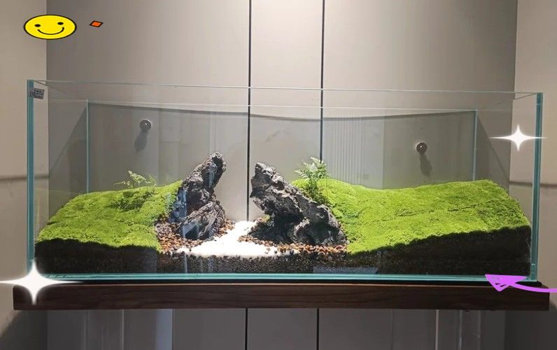 龍魚缸裝飾物有哪些材質 龍魚缸裝飾物有哪些材質 龍魚百科 第2張