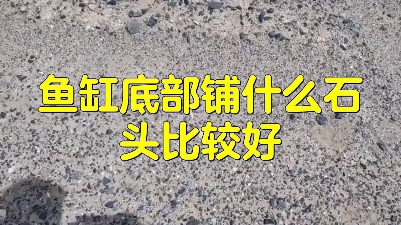 龍魚缸裝飾物有哪些材質 龍魚缸裝飾物有哪些材質 龍魚百科 第6張
